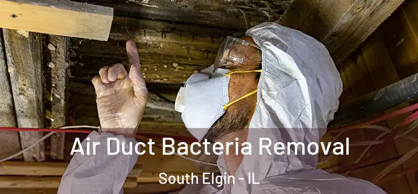  Air Duct Bacteria Removal South Elgin - IL