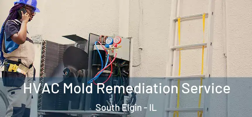  HVAC Mold Remediation Service South Elgin - IL