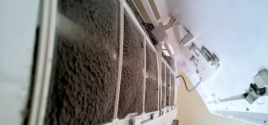 Preventive Air Duct Bacteria Removal in South Elgin