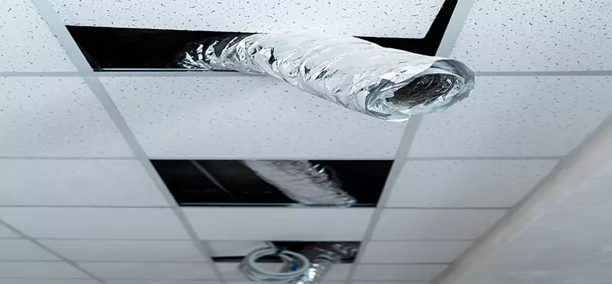 Affordable HVAC Sanitizing After Pest Removal in South Elgin