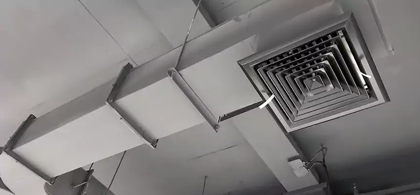 Restorative Allergy Relief Vent Cleaning – Coil, Blower & Housing Detail in South Elgin