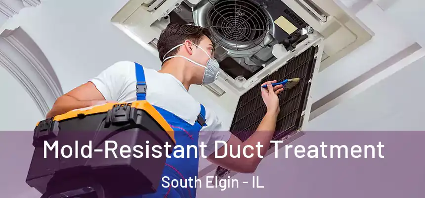  Mold-Resistant Duct Treatment South Elgin - IL
