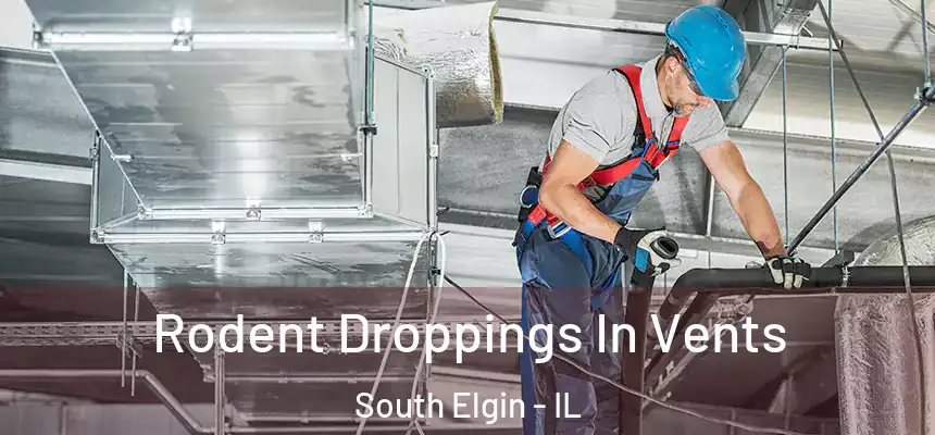  Rodent Droppings In Vents South Elgin - IL