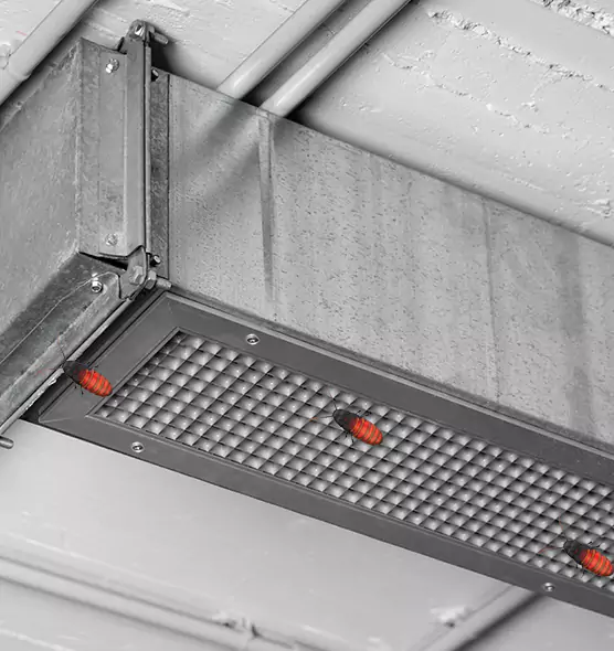 About Air Duct Cockroach Removal in South Elgin, IL