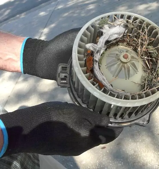 About Air Duct Mice Removal in South Elgin, IL