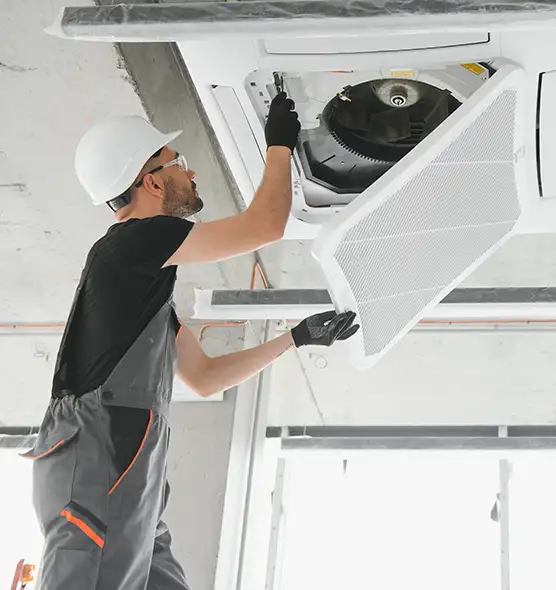 About Air Duct Rodent Removal in South Elgin, IL