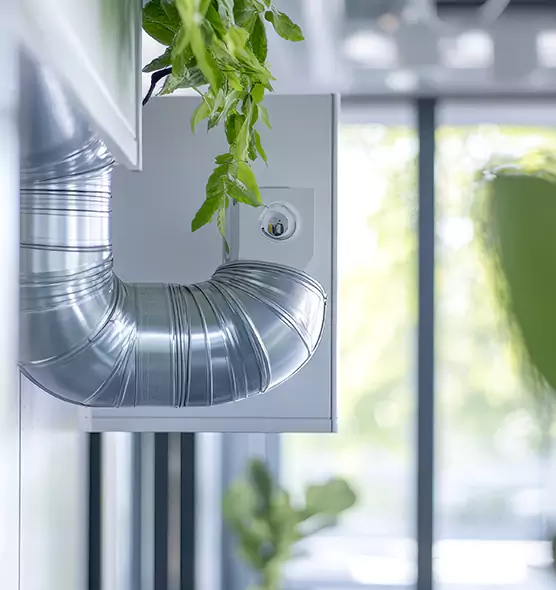 Professional Eco-Friendly Duct Cleaning Services in South Elgin, IL