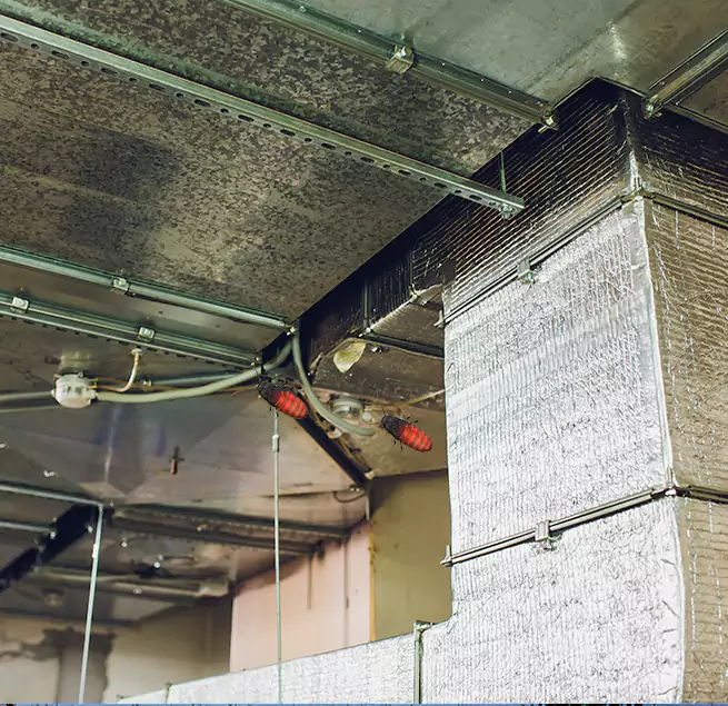 Why Homeowners & Businesses Trust Us in South Elgin, IL?