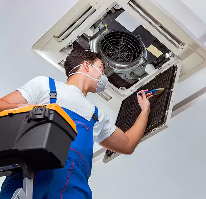 Why Homeowners & Businesses Trust Us in South Elgin, IL