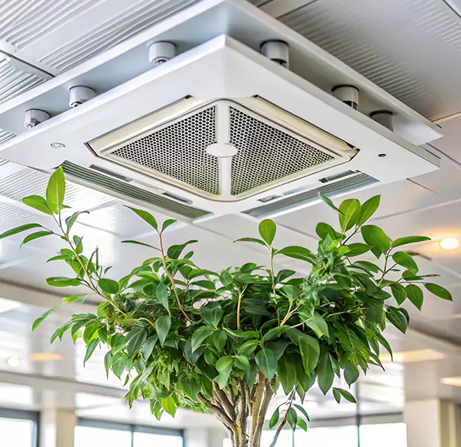 Why Homeowners & Businesses Trust Us in South Elgin, IL