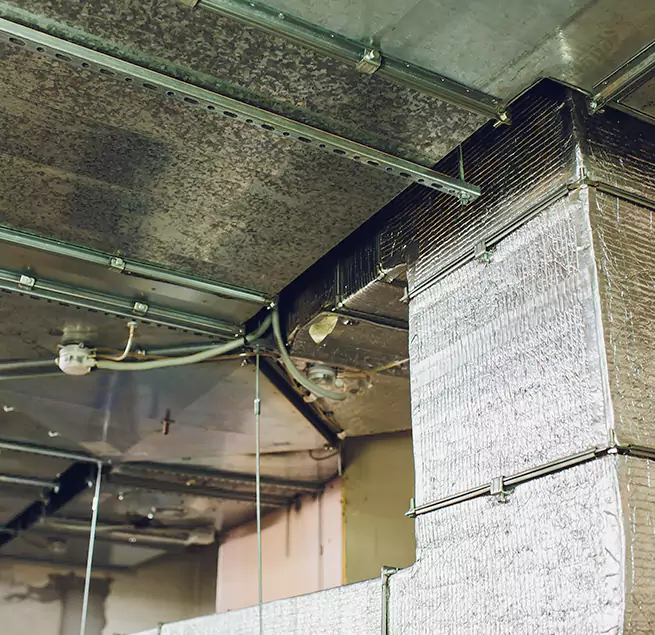 Why Homeowners & Businesses Trust Us in South Elgin, IL?