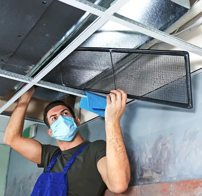 Why Homeowners & Businesses Trust Us in South Elgin, IL?